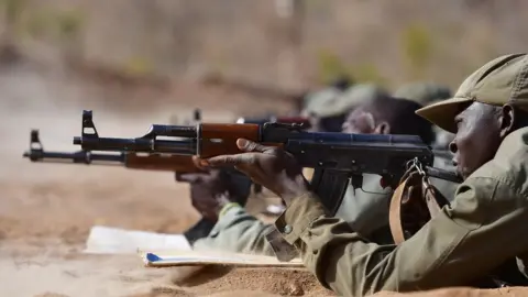 Getty Images Malian soldiers undergoing training in 2017