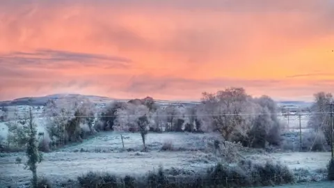 Cara Coll Bessie Bell, Drumquin