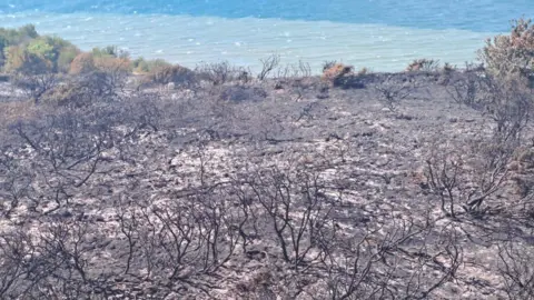 Hampshire and Isle of Wight Fire and Rescue Service Burnt remains of gorse overlooking the sea