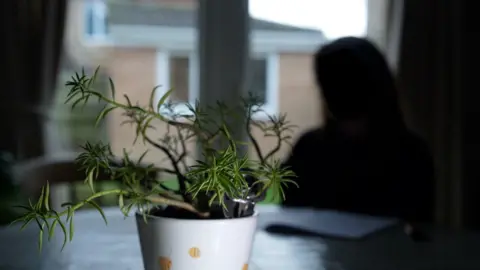 In the foreground is a pot plant. Behind it is the silhouette image of a woman. Behind her is a window through which a house can be seen. The woman has been anonymised to protect her identity.