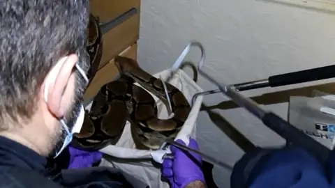 Cleveland Police Snake being put into a sack