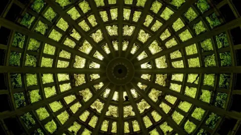 Surrey Hills Society The interior of the underwater room is shown from below the domed glass ceiling. The circular structure is divided into dozens of panels, with green-tinted water and aquatic growth visible above the glass.