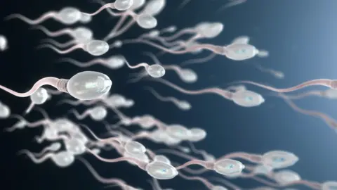 Getty Images Visual representation of sperm