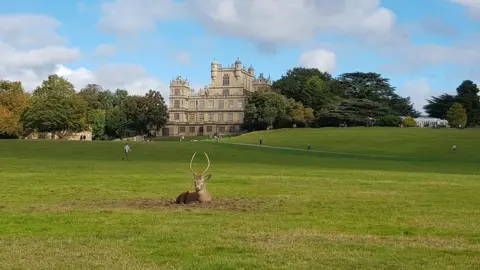 LDRS Wollaton Hall