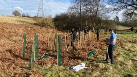 Trees being planted 