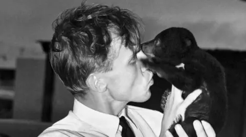 A black and white photo of a young David Attenborough kissing a bear cub, taken in September 1956. 