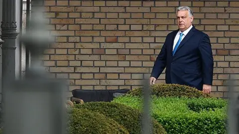 Ferenc Isza/AFP A plump man in a blue suit walks through a garden
