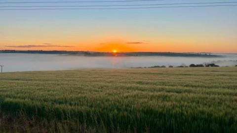 A meadow in Lambourn with mist rising as the orange sunrise sun breaks through the clouds