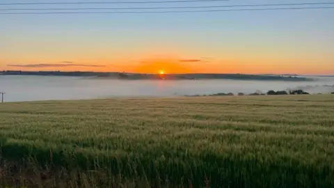 Zimmi TUESDAY - A meadow in Lambourn with mist rising as the orange sunrise sun breaks through the clouds