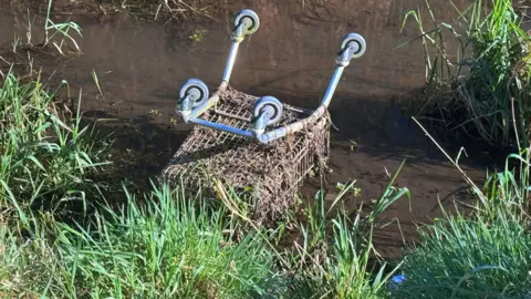 BBC There are several shopping trolleys dumped along Coalisland Canal