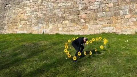 Hospice at Home West Cumbria About 20 metalwork sunflowers displayed in the shape of a heart on a grassy bank with high sandstone walls behind. A woman wearing a black top and black trousers is bent over inside display, appearing to arrange it.