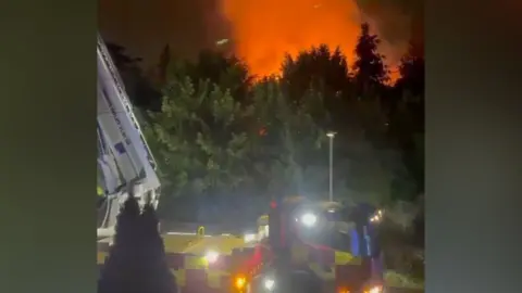 Paul Morris At night an intense orange blaze lights the sky behind a line of tall trees, while a fire engine with an aerial ladder and flashing lights is positioned in the foreground.