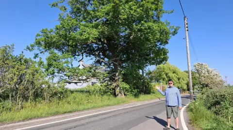 A man stood beside a road pointing at a large tree on the other side of the road