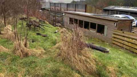 Badger wildlife hide in Haweswater. There are logs and green grass on a hill and beneath it is a large wooden wildlife hide. It is surrounded by a farm which has two vehicles parked behind it. 