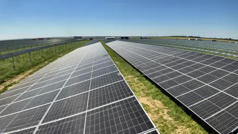 Reuters Image of black solar panels in a grassy field.