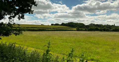Green belt land near Bristol