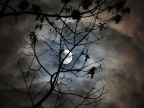 Kevin Miller The moon through the branches of a tree
