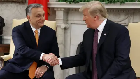 Getty Images Hungarian Prime Minister Viktor Orban (left) shakes hands with US President Donald Trump in May 2019