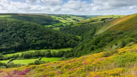 The East Lyn Valley and Ashton Cleave from Cosgate Hill in Exmoor National Park on the Devon and Somerset border