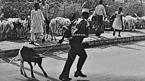 Sunmi Smart-Cole A photo by Sunmi Smart-Cole entitled: "Christmas Dinner"- Monday 25 December 1978, showing a man pulling a goat with a rope