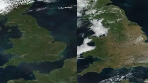 NASA Two satellite images sit side by side. On the left one of the UK shows the country almost entirely green. On the right, another image of the country shows much of England, particularly central and Eastern England, to be a shade of brown.