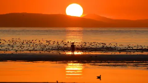 Ron Davies A image of Crosby beach’s as the sun sets with one of Antony Gormley’s Iron Men sculptures near the waves as birds fly nearby. 