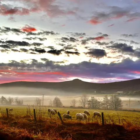 Michelle Marie Barclay Dunbar A multi-coloured sky, over hills in the distance. Sheep milling about on grass are visible in the foreground. 