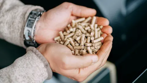 Getty Images A close-up of person holding some small wooden pellets in two hands. The person is wearing a grey jumper and a watch on their left hand.