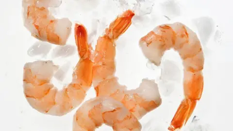 Shrimp on a white background