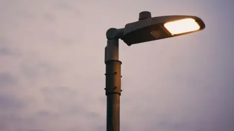 A street light that is on as dusk forms in the sky behind it. 