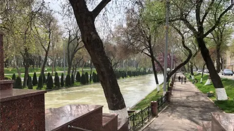 Spring along the River Ankhor in Tashkent