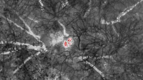 Kent Fire and Rescue Service The woman was rescued