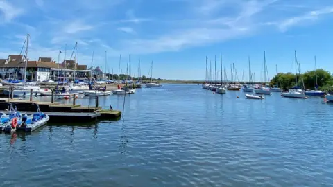 Iain Lees The River Stour at Christchurch on a sunny day. Dozens of small boats are moored either side of the wide river and some buildings line the shore on the left.