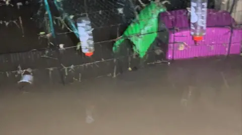 Rachel Waller A rabbit hut in a garden is completely submerged under dirty water.