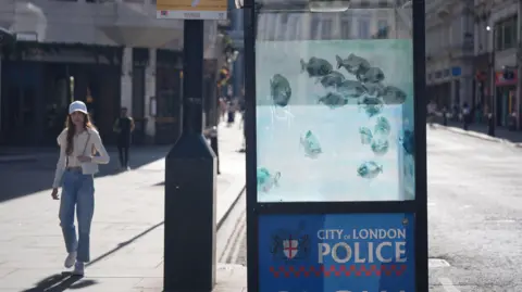 PA Media A woman walks past a City of London Police sentry box that has had its perspex windows painted with Piranha fish.