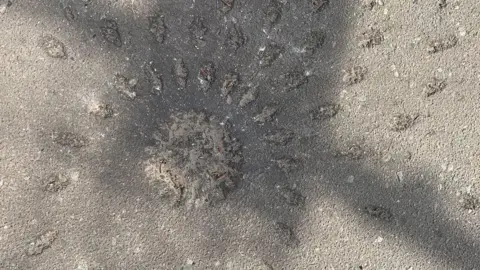 Close up view of cluster spray pattern ground at Kramatorsk station