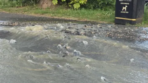 Steve McLean Water spilling onto a road from a leak near a black Leeds City Council bin.
