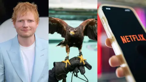 Montage: Ed Sheeran in a light blue suit, A Hawk with splayed wings perching on a handler's glove, A close up of a red 'Netflix' logo on a phone