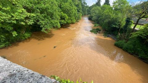 Brown water in River Dart
