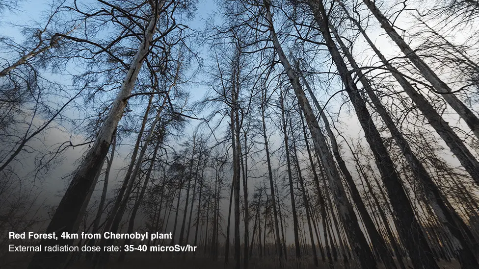 BBC Red Forest, 4km from the Chernobyl reactor