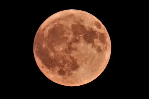 Maggie T Howlett Strawberry Moon seen from East Leake, Nottinghamshire