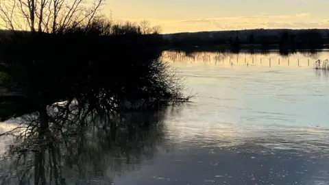 BBC Large area of floodwater with trees and bushes in the foreground