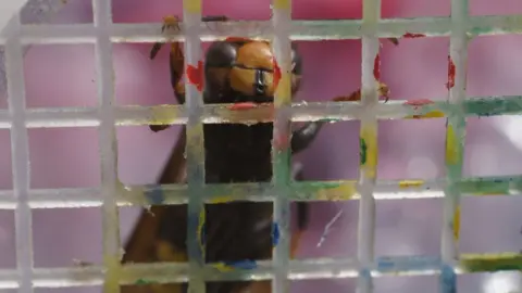 John de Carteret asian hornet