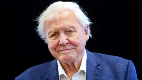 PA Media Head and shoulders photo of Sir David Attenborough wearing a white shirt and blue suit, smiling while looking at the camera, taken in London in October 2022