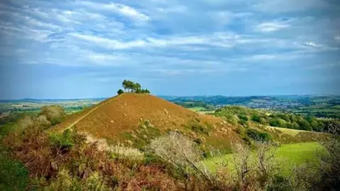 The rolling landscape near Bridport. A large hill with several trees on the top and a pathway leading up to them is the focus. There is reddish brown foliage in the foreground and green trees and fields, of various shades, as far as the eye can see