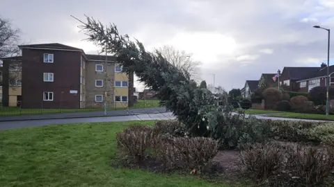 BBC The leaning Christmas tree in Bloxwich