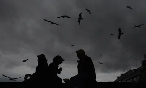 Getty Images Gulls on the beach at Weston