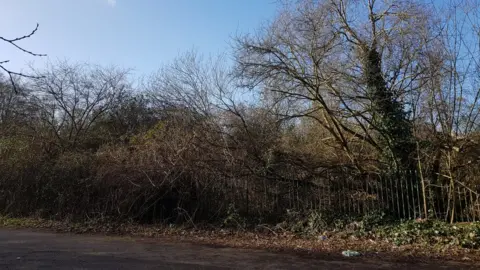 Local Democracy Reporting Service The site now