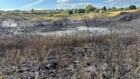 Firefighters hose down a scorched area of grassland