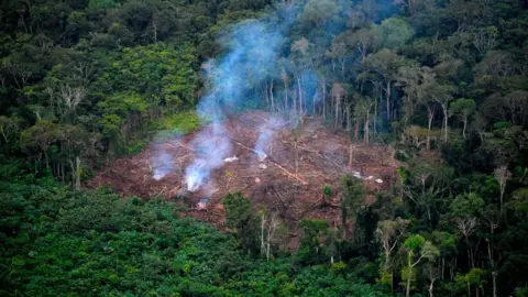 Getty Images Deforestation in the Colombian Amazon